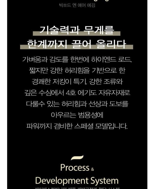 JS컴퍼니 빅소드 엔 에어 에깅 무늬오징어 에깅대 팁런대 캐스팅로드 S792ML-M