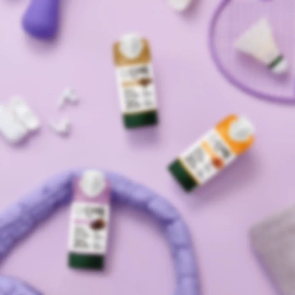 빙그레 더단백 프로틴음료 단백질 드링크 250ml 초코맛 18팩 + 커피맛 18팩