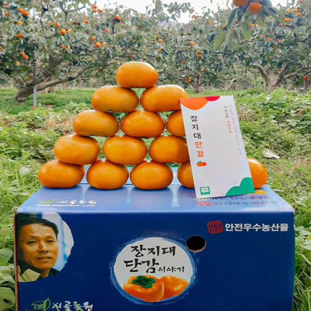 태추단감 햇 단감 진영 배 부유 배감 대추 태주 배단감 시골농원
