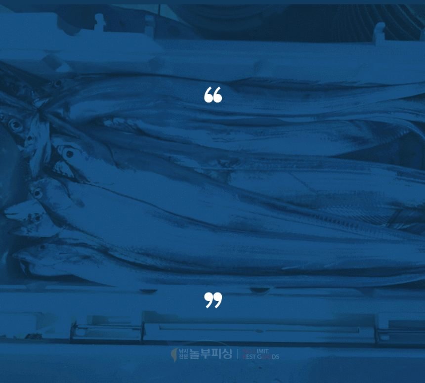 선상 심해 갈치 낚시대 해동 프로방스Q 450-510