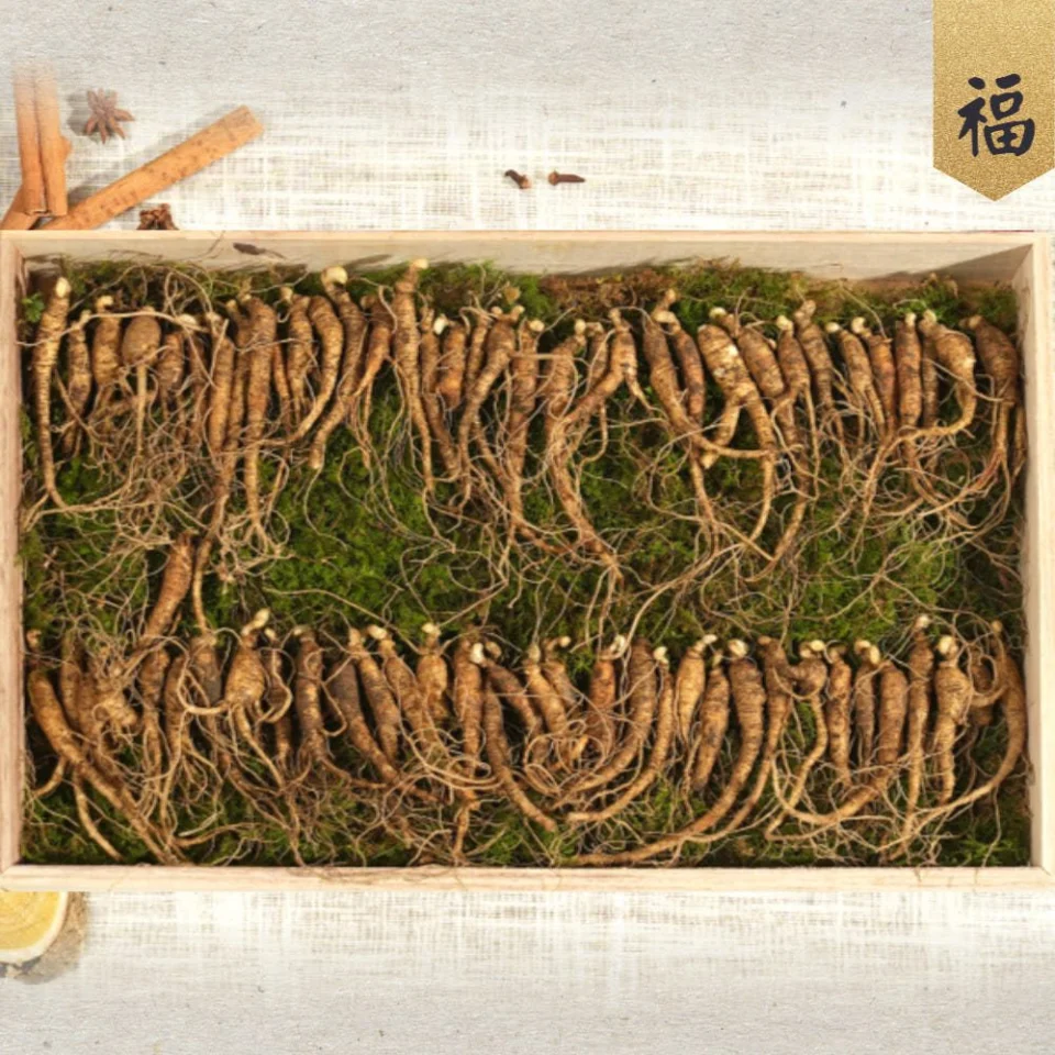 산삼 5~6년 못난이 30뿌리 산양삼 산양산삼 장뇌삼 선물세트